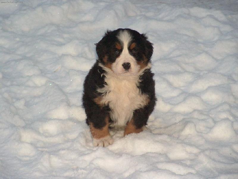 Foto: M�enka-takto vypadala, kdy� mi ji p�inesli nepl�novan� dom�