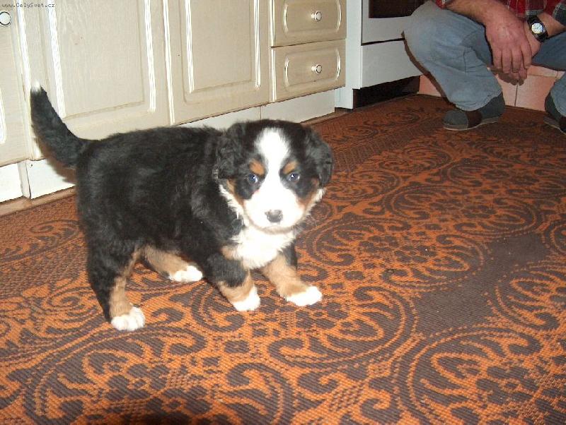 Foto: M�enka- a je�t� jednou M�enka jako  miminko