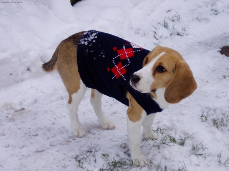 Foto: Nov� svetr-po operaci ho mus�m m�t - m�m nah� b��ko