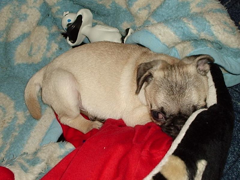 Foto: Na�e Meggie-Meggie hajink�