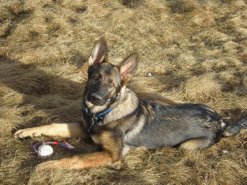 Foto: Charly-Zasl��en� odpo�inok