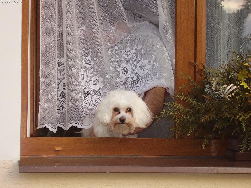 Foto: Samuel kouk� jak je dneska venku:-))