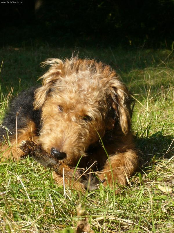 Foto: GOTFI-Gotfi na Ka��ne