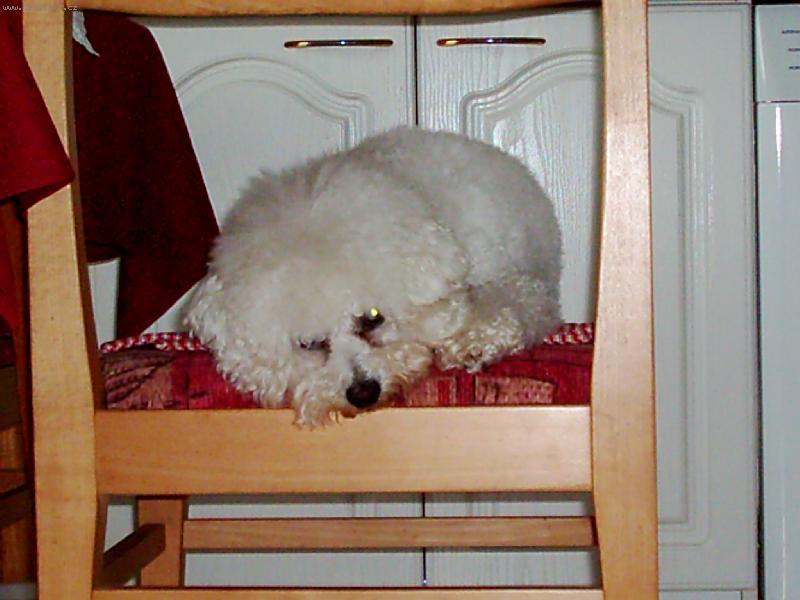 Foto: odpo�inek-po vysu�en� si mus�m odpo�nout...