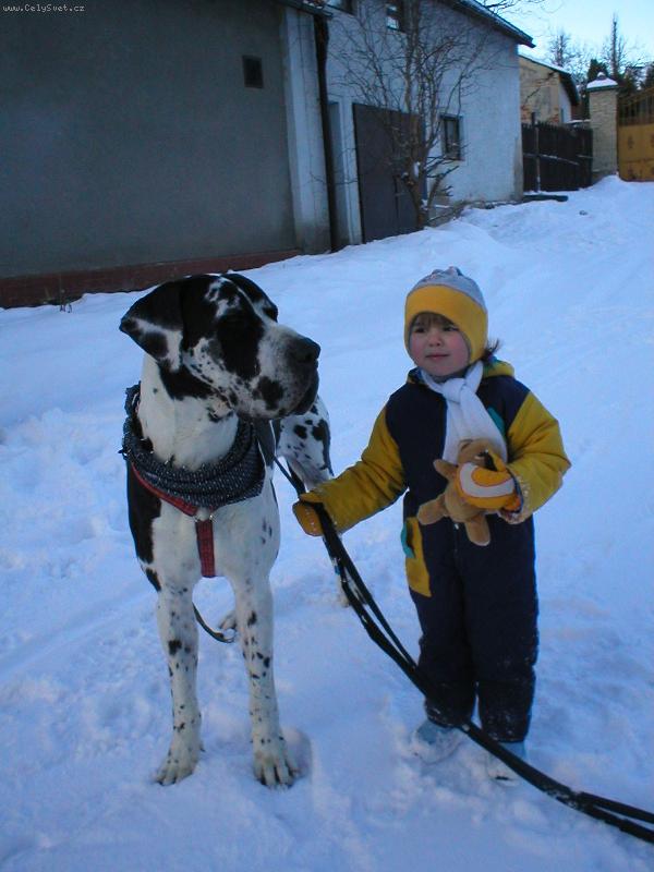 Foto: Kdo je v�t�� ?-Chad z Josefovsk�ch bud