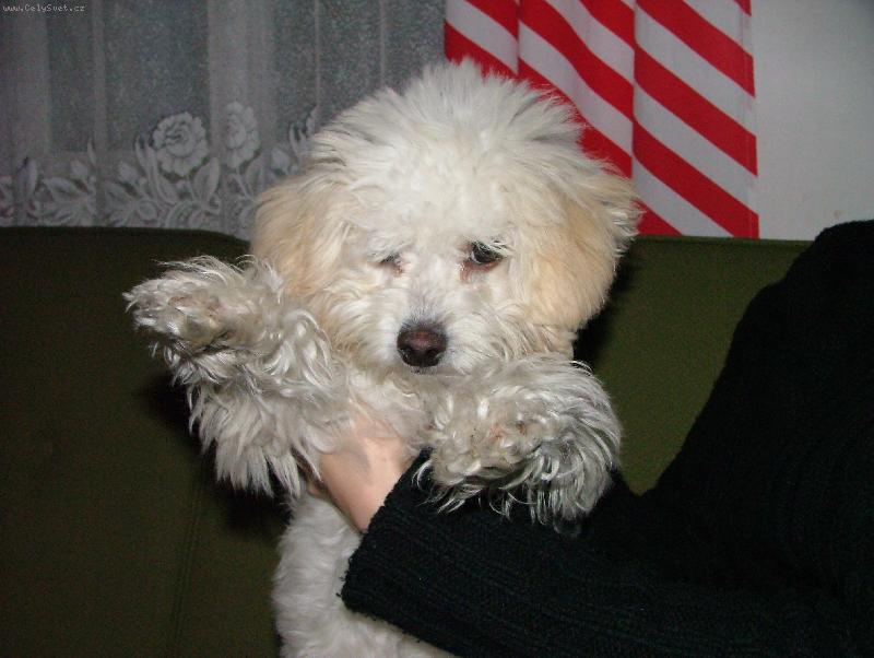 Foto: Lady-Tady vypad�m jako barov� lady, ale nen� to tak :-)