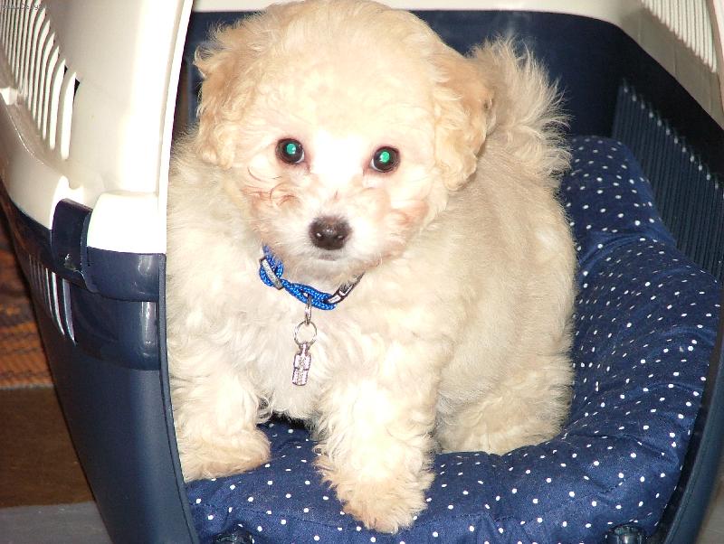 Foto: Lady-A tady jsem je�t� �t���tko