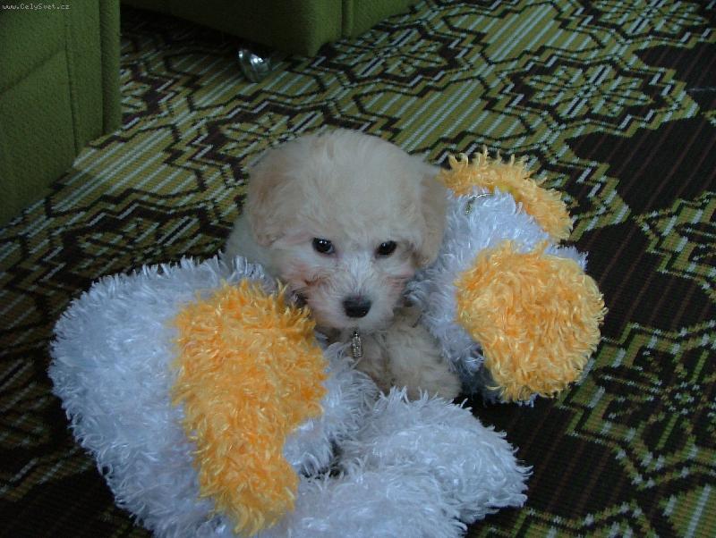 Foto: Lady-F�uk, co m� bud�te?