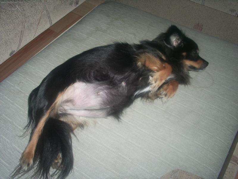 Foto: Bessi-Budou miminka