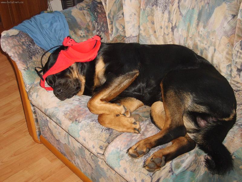 Foto: to byl zase mejdan