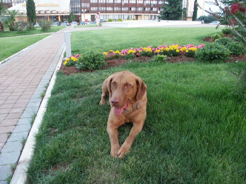 Foto: Ich.,Mutli Ch.Ammie ..to jsem j�...))))-tak to jsem j�...