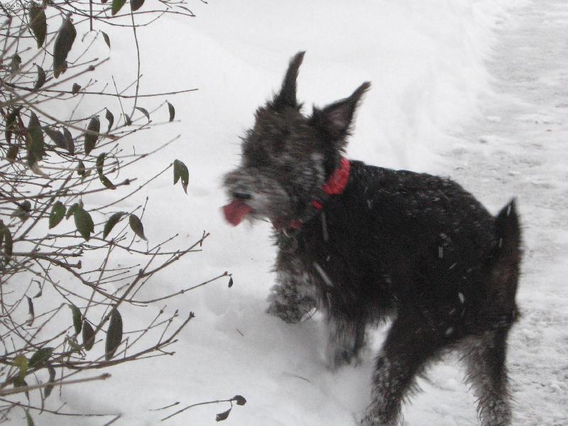 Foto: Kone�n� zima