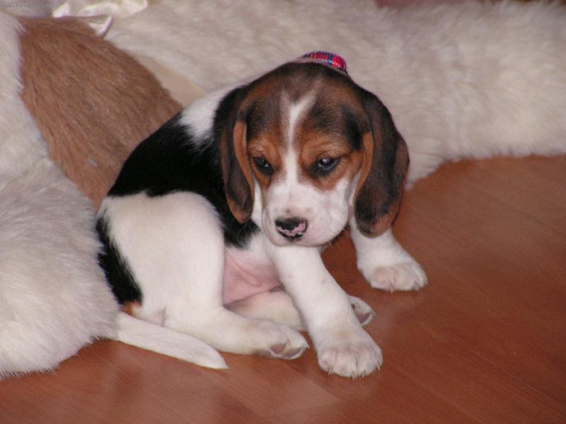 Foto: Nase male stenatko:-)-To pekne koukam co?