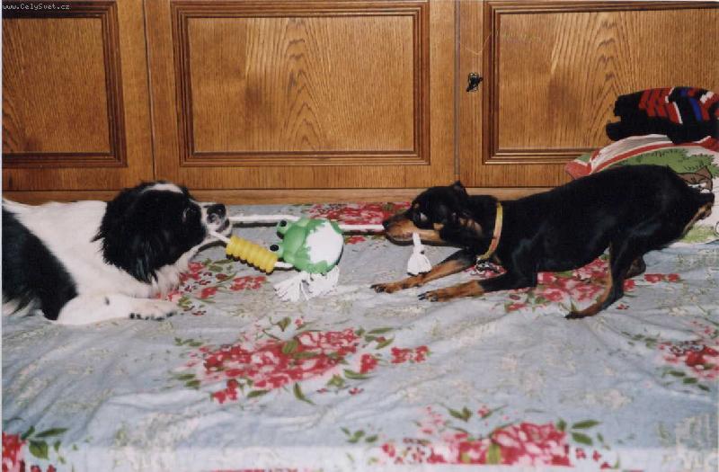 Foto: mab.jpg-Kdo ma vetsi silu???