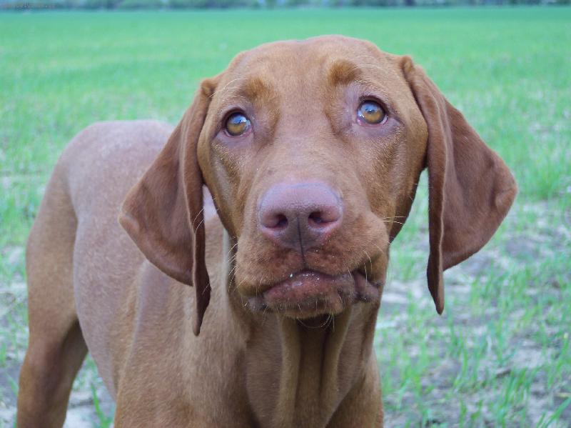 Foto: kuk-\"Johanka\" Edit Meryben