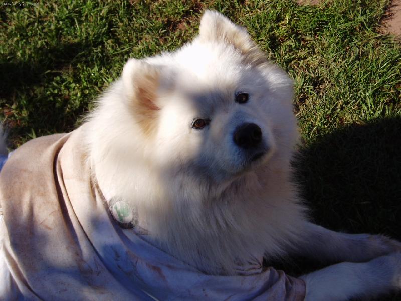 Foto: Poledn� odpo�inek-Po ob�dku to chce odpo�inek