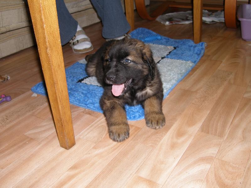 Foto: megie-takle vypadala kdy� mi ji p�ivezli