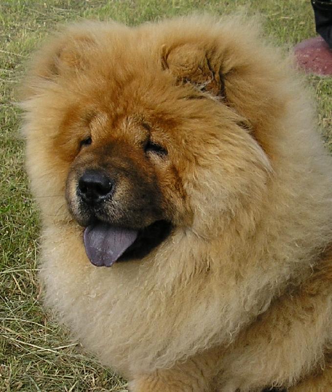 Foto: sle�na Nelinka-bude ze mne �ampi�nka