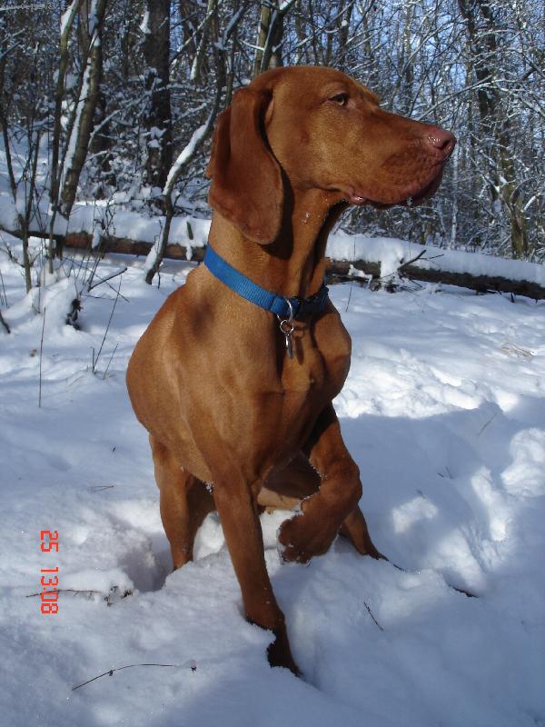 Foto: Bora Z Labsk� Lhoty