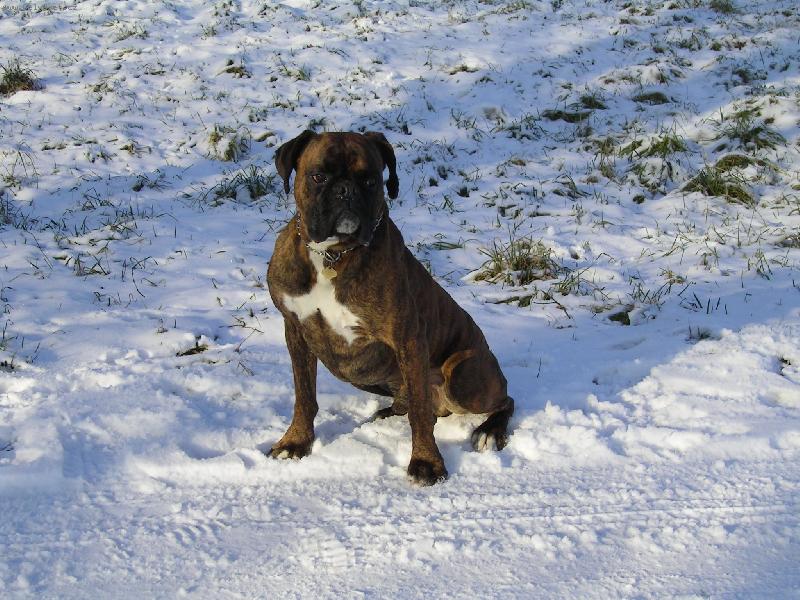 Foto: Aris- aris 3 r.