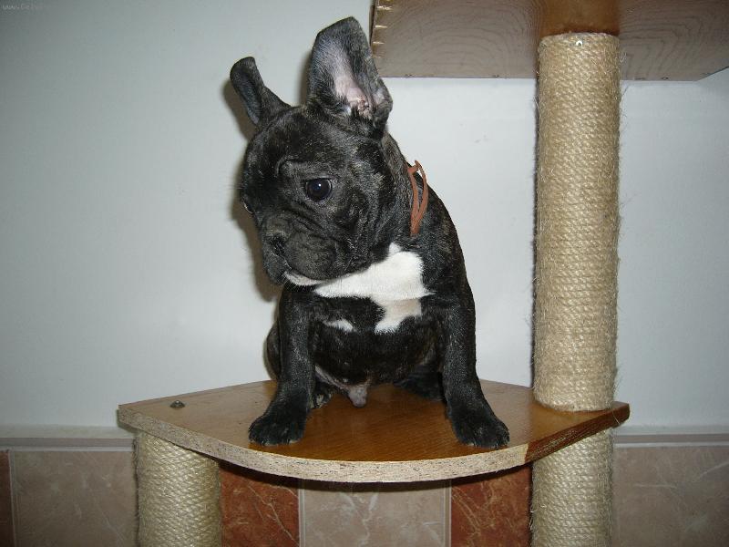 Foto: Zamy�len� Ed�k