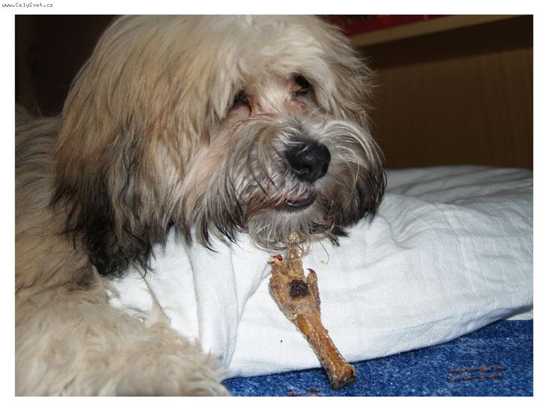 Foto: s pa��tkem =)-6 m�s�c�