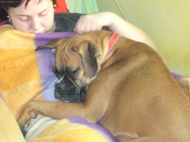 Foto: span�-d�ti usnuly