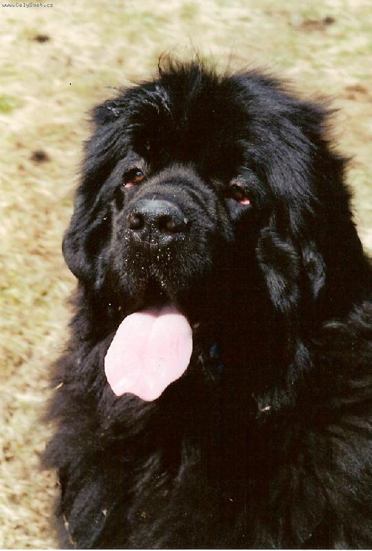 Foto: Anymae Doln� Chalupy-to je moje nejvet�� �ivotn� �t�st�