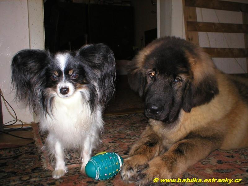 Foto: Gerry s Agb�kem-Nejlep�� k�mo�i s hra�kou :o)