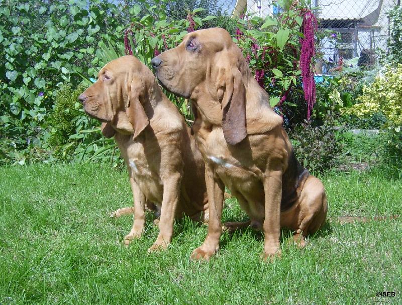 Foto: Yvett Iseb a Yazoo-Zdenek v.d. Oude Watertoren-Yvetka a Zden��ek