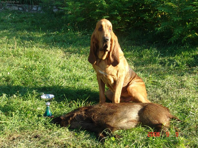 Foto: Yazoo-Zden�k v.Oude Watertoren-dohledal jsem na zkou�k�ch pras�tko a dostal jsem za to poh�r