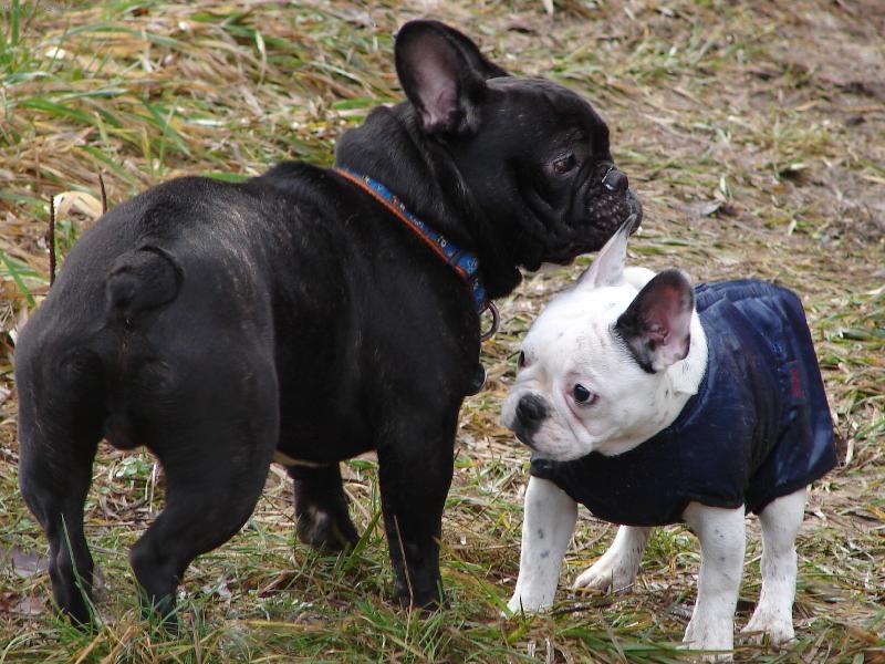 Foto: �ofinka-Seznamov�n� s Ot�kem