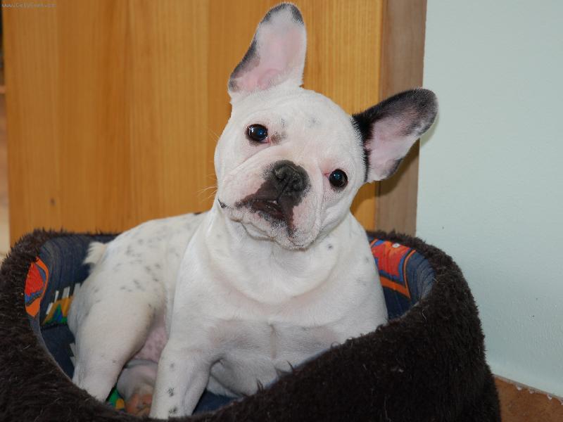 Foto: �ofinka-Kuk, m�m 5 m�s�c�