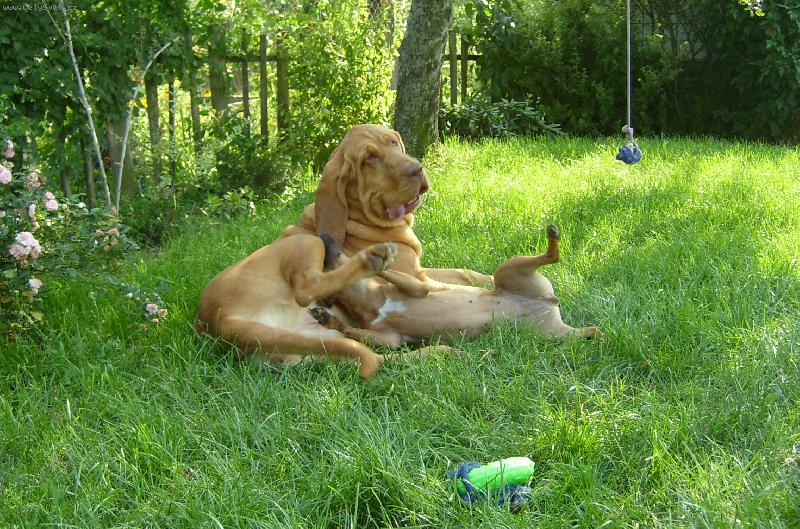 Foto: ISEB CS-M�m fajn kamar�dku paterdale teri�ra, je s n� sranda...