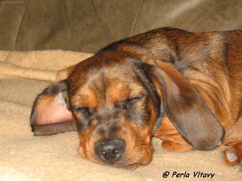 Foto: Zase spink�m