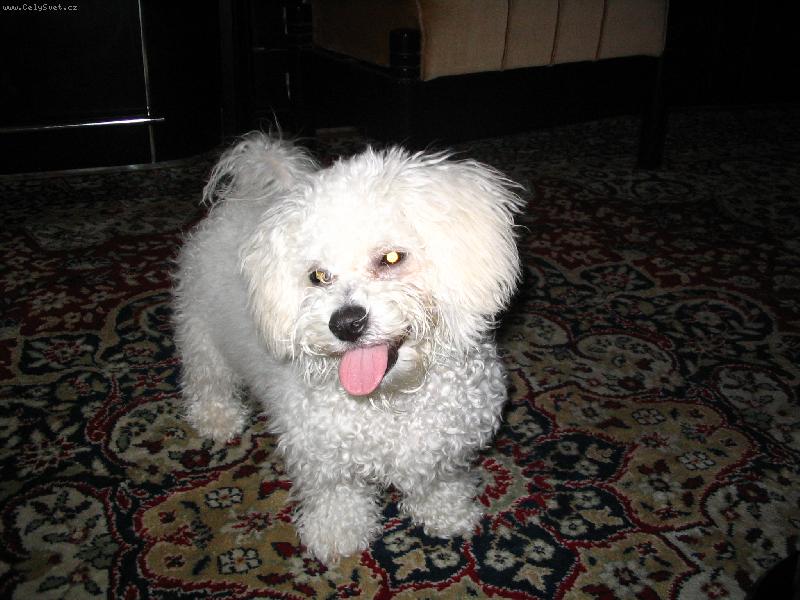 Foto: SISI-Kto sa ide so mnou hra�?