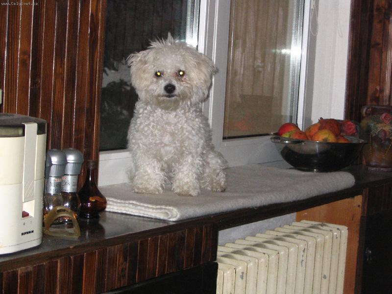 Foto: SISI-Odtia�to m�m najlep�� preh�ad