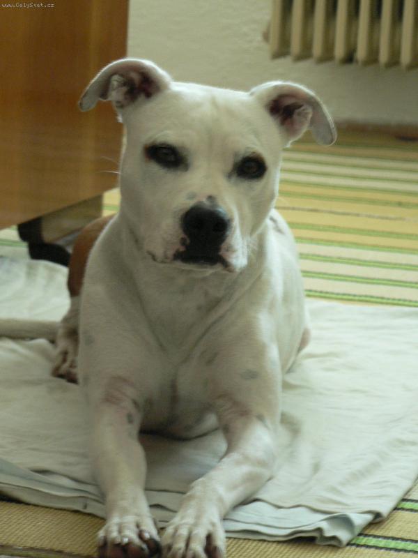 Foto: Perla-********