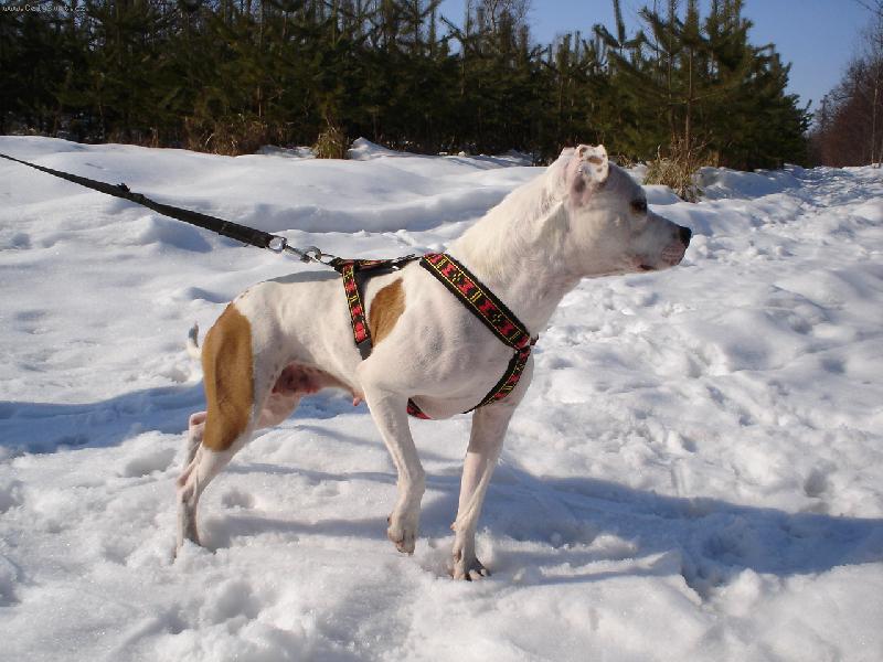 Foto: Perla-********