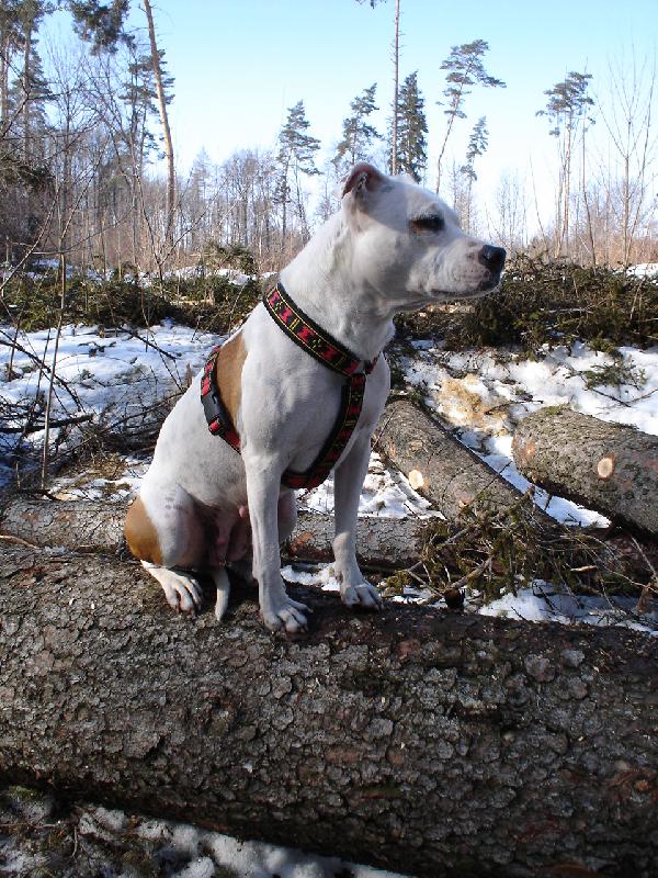 Foto: Perla-********