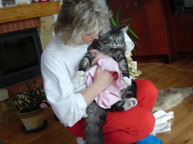 Foto: �bel-u� se p�ipravuje �enich pro Sailinku :-)