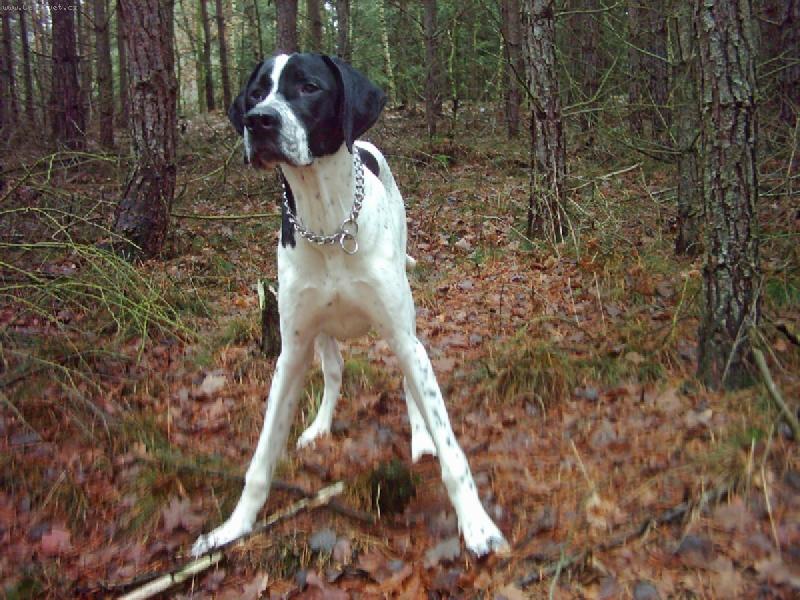 Foto: Snoopy-Snoopy 7 m�s�c�