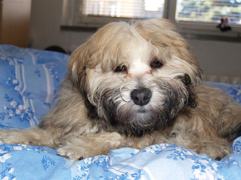 Foto: Ange-ospinkan�