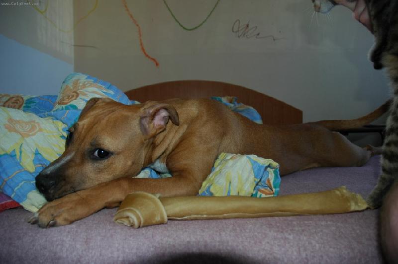 Foto: Sophie-na�e princezna