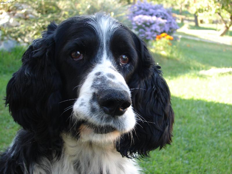 Foto: daj mi u� ten �pek