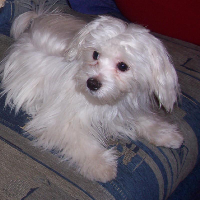 Foto: KIMI-na n�v�t�ve se chov�me slu�n� :-)