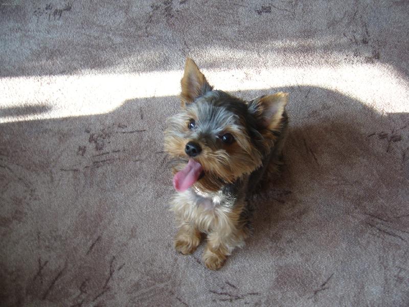 Foto: to mam ale dlouhej plazan :-))