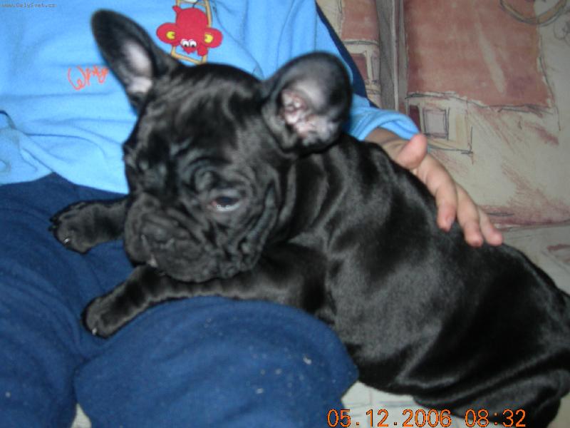 Foto: Miluju kdy� m� n�kdo hlad�.