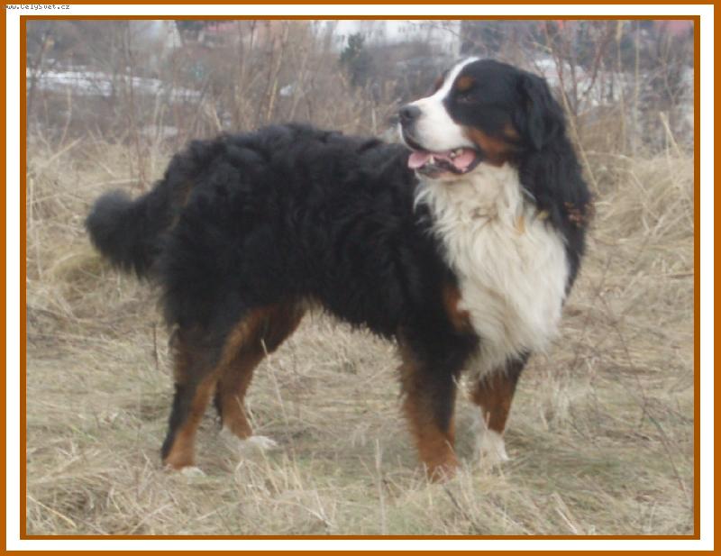 Foto: Dago Rudnianska dolina-Dagul�k