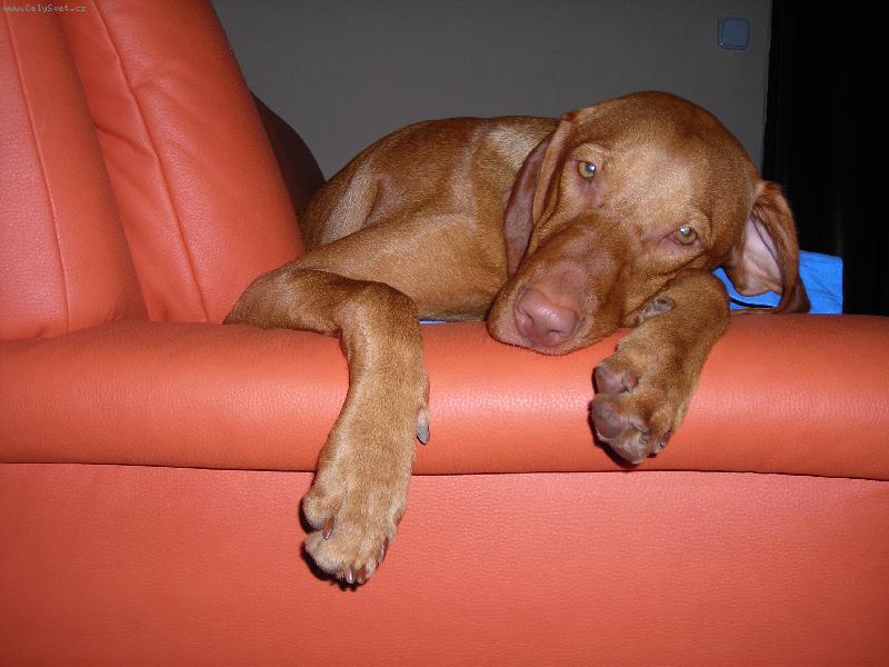 Foto: Nely z D���na-To je pohoda